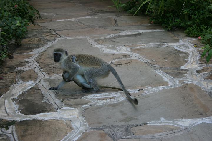 Kenya 108
